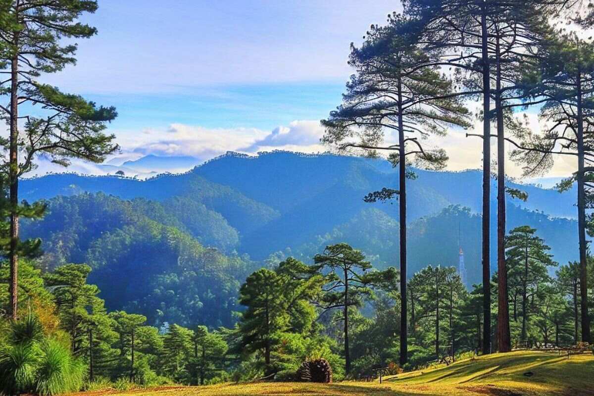 Julian's Construction & Landscape project example showcasing quality landscape and construction work in Woodburn, OR